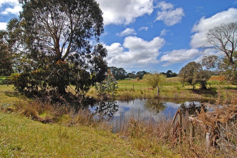 247 Jetty Road, DRYSDALE VIC 3222, Drysdale - Thumbnail 4