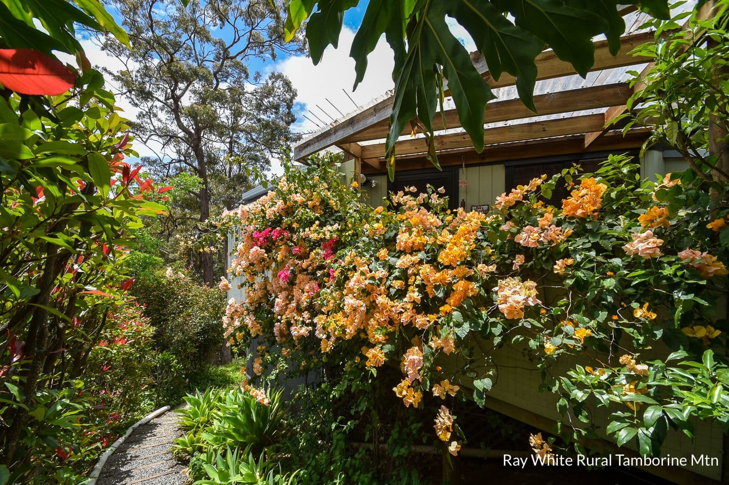 8 Katmai Court, Tamborine Mountain QLD 4272, Tamborine Mountain - Thumbnail 2