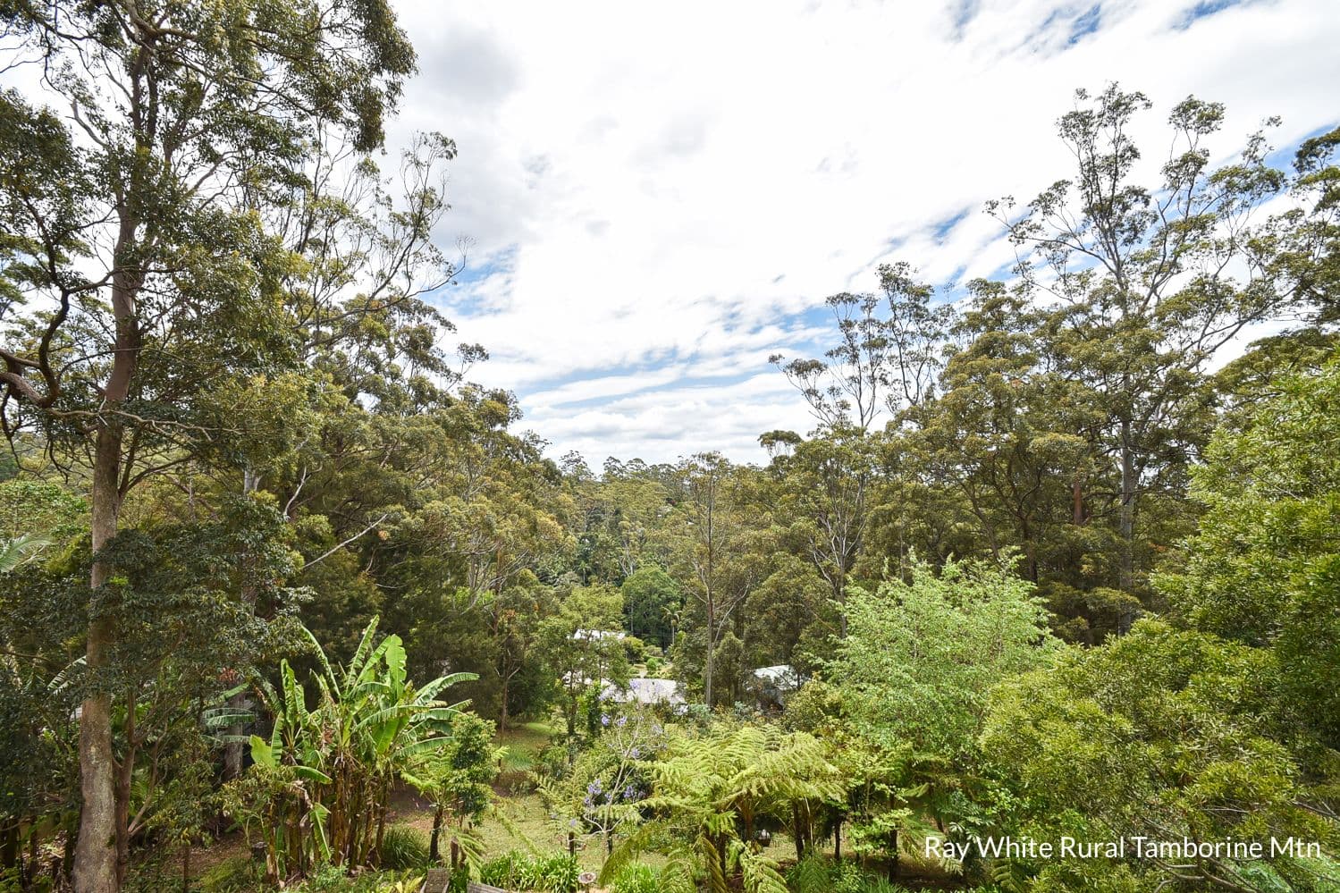 8 Katmai Court, Tamborine Mountain QLD 4272, Tamborine Mountain - Thumbnail 4