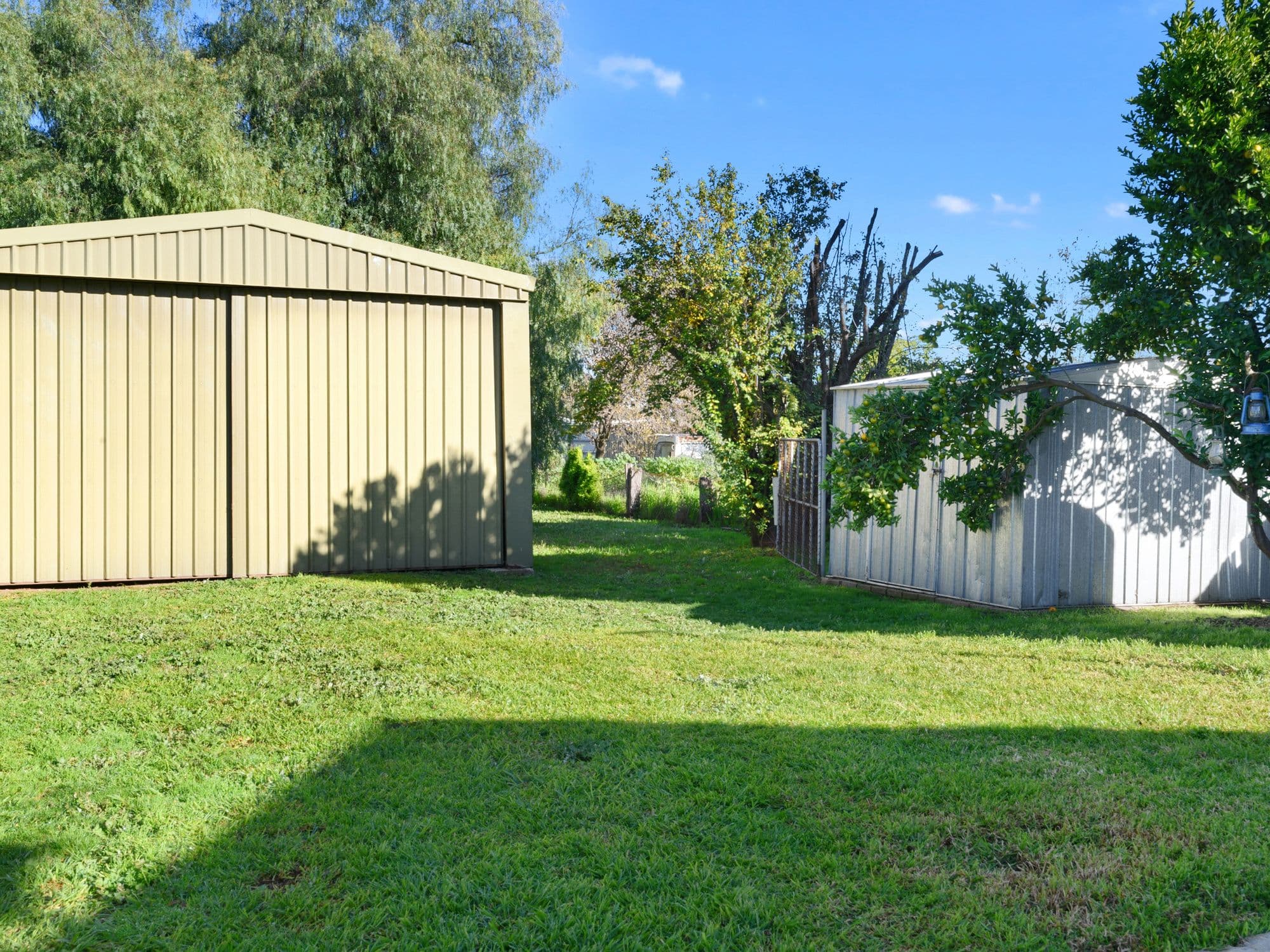 43 Halls Road, Goorambat VIC 3725, Goorambat - Thumbnail 8
