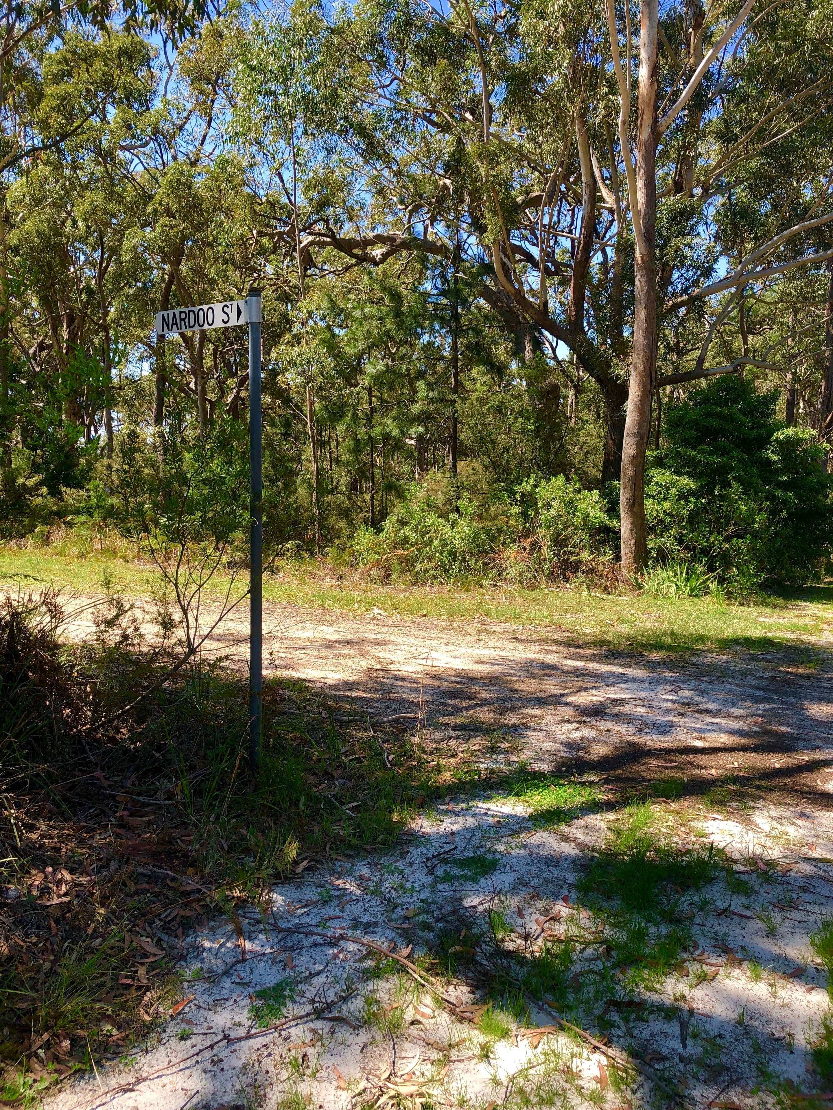 259 Warri Street, Pindimar NSW 2324, Pindimar - Thumbnail 2