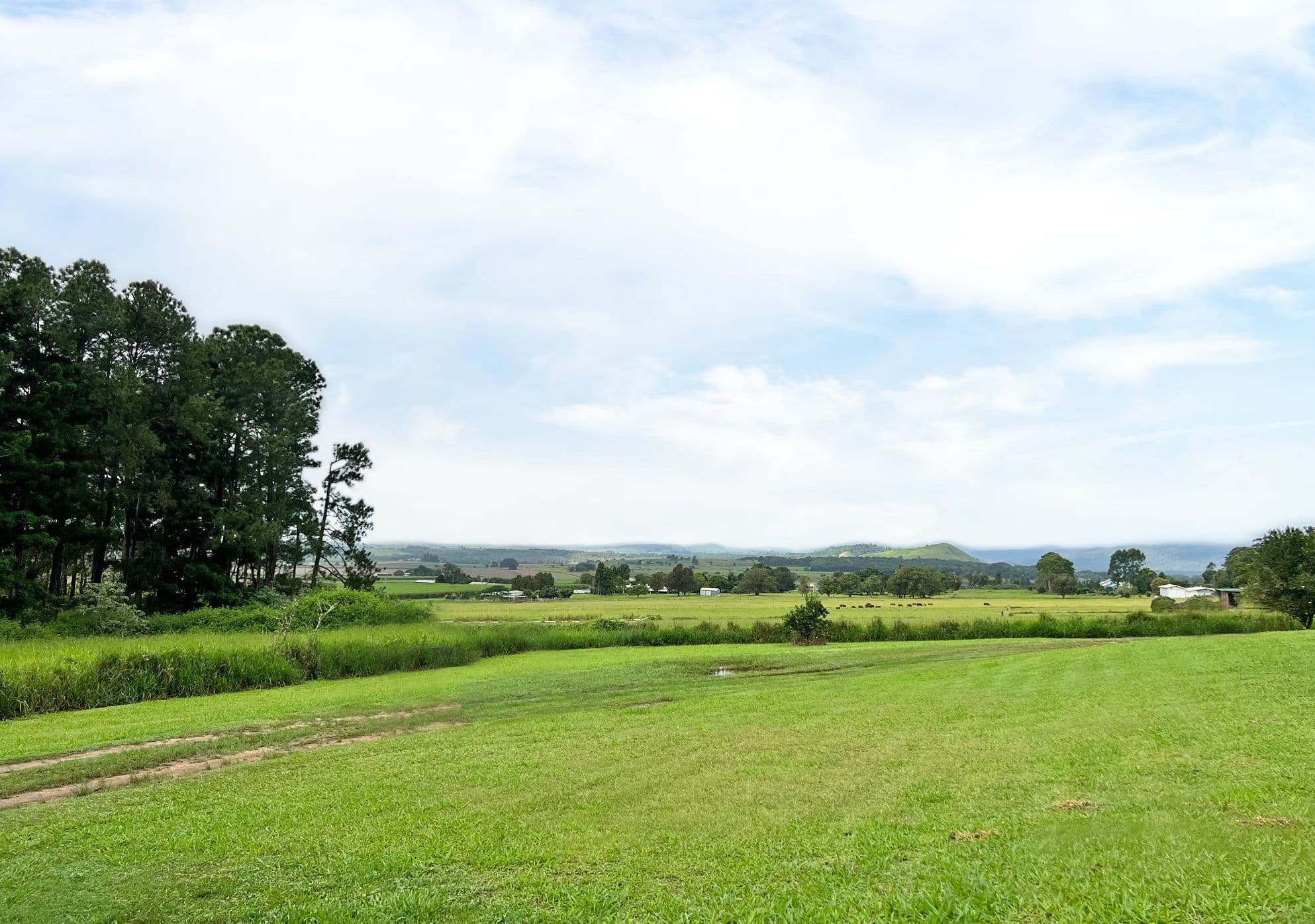 27 Windhaus Road, Atherton QLD 4883, Atherton - Thumbnail 2
