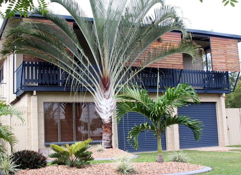 16  Durack Street, DOUGLAS QLD 4814, Douglas - Thumbnail 6
