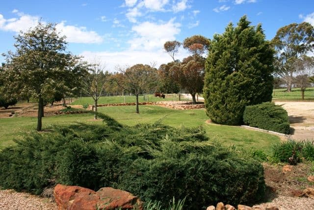 Lot 8 Gaelic Cemetery Road, CLARE SA 5453, Clare - Thumbnail 4