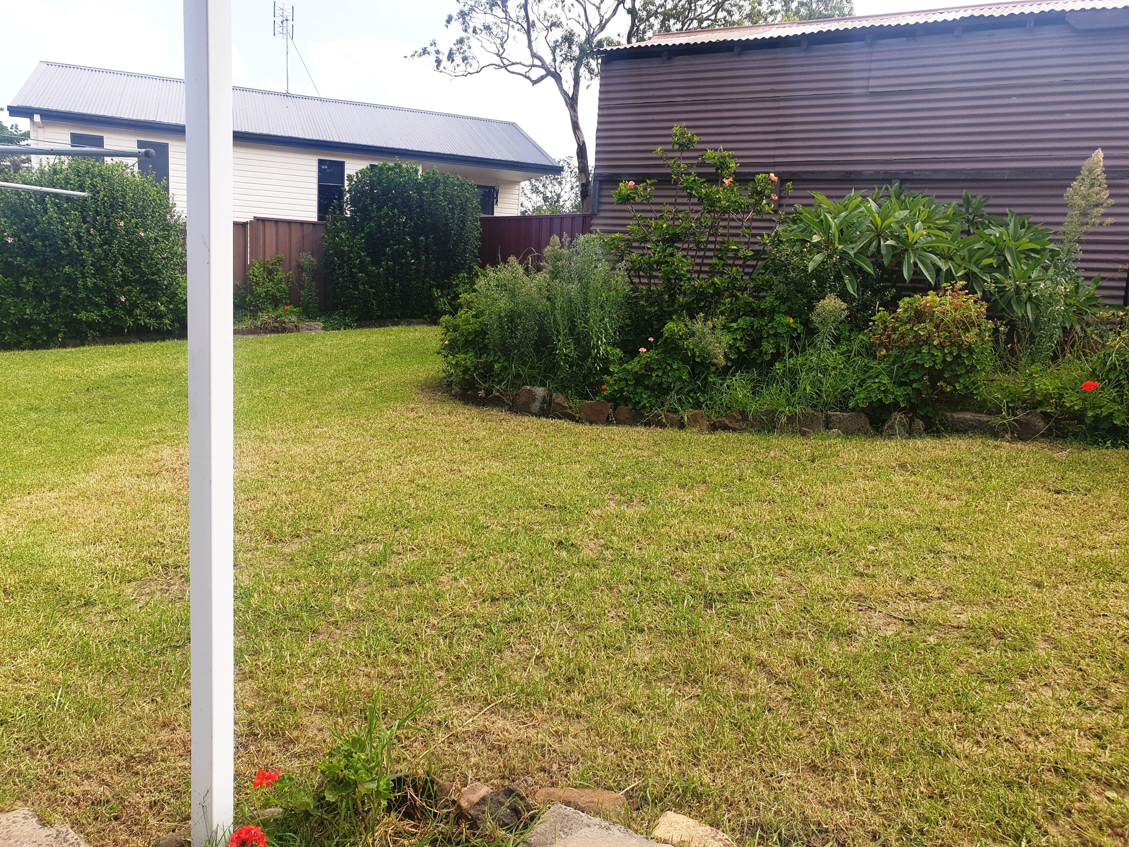 6 Claremont Avenue, Lake Heights NSW 2502, Lake Heights - Thumbnail 5