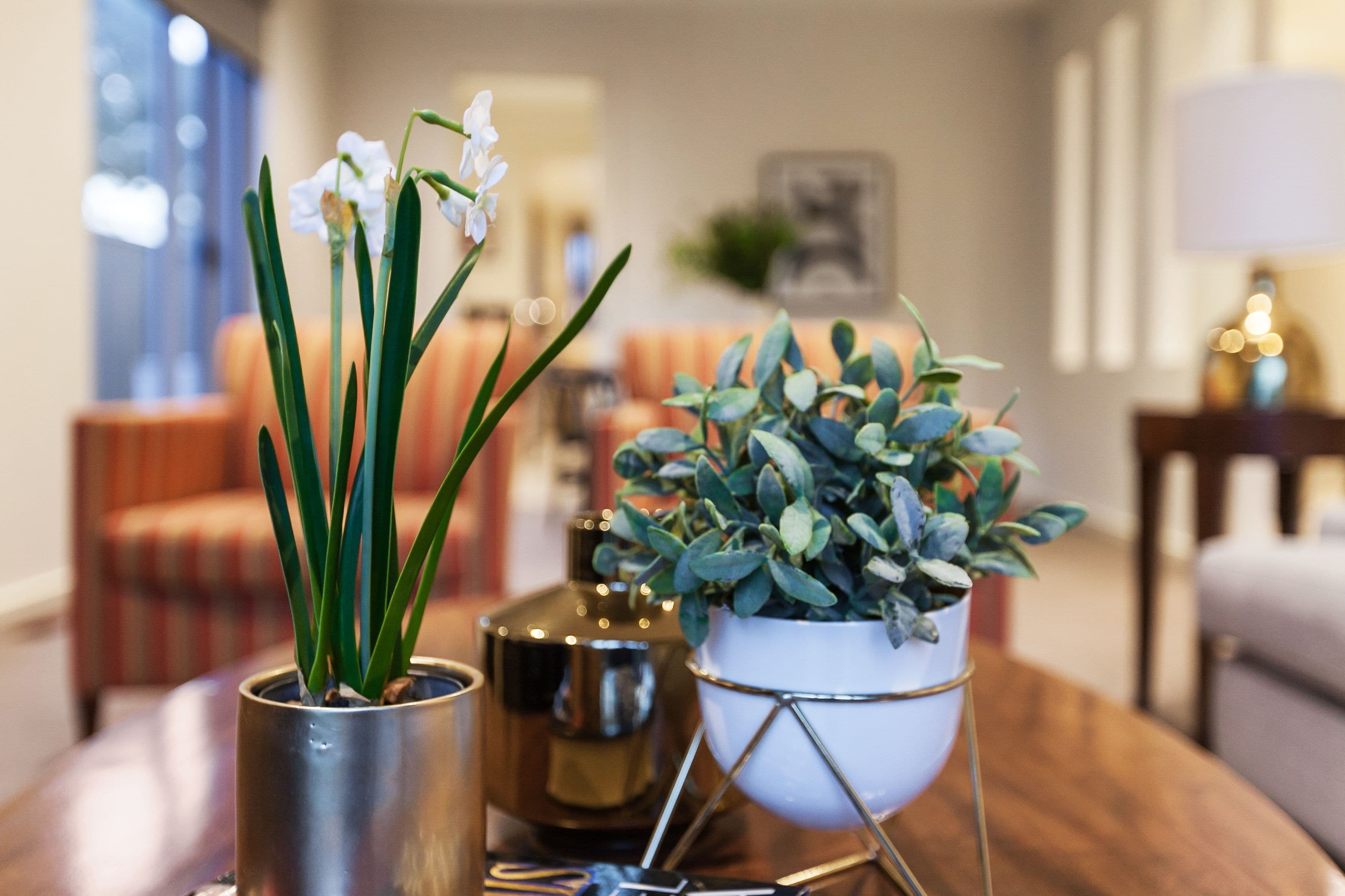 63 Ancona Drive, Mill Park VIC 3082, Mill Park - Thumbnail 8