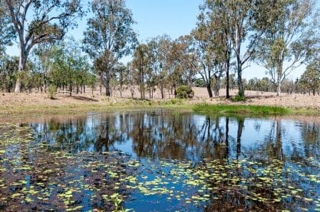54 Mount Forbes Road, EBENEZER QLD 4340, Ebenezer - Thumbnail 3