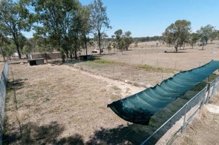 54 Mount Forbes Road, EBENEZER QLD 4340, Ebenezer - Thumbnail 5