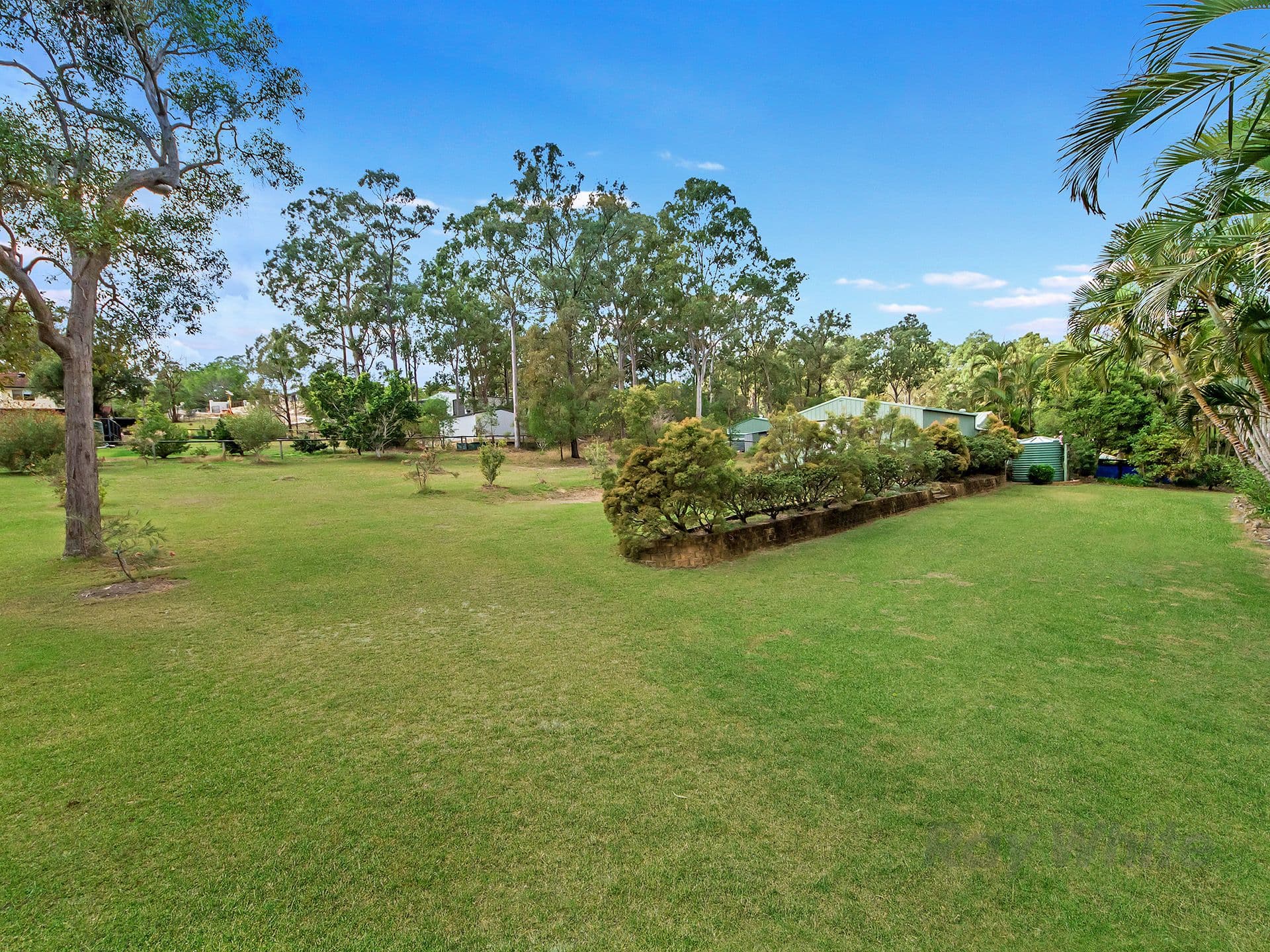 33 Pascoe Road, Ormeau QLD 4208, Ormeau - Thumbnail 4