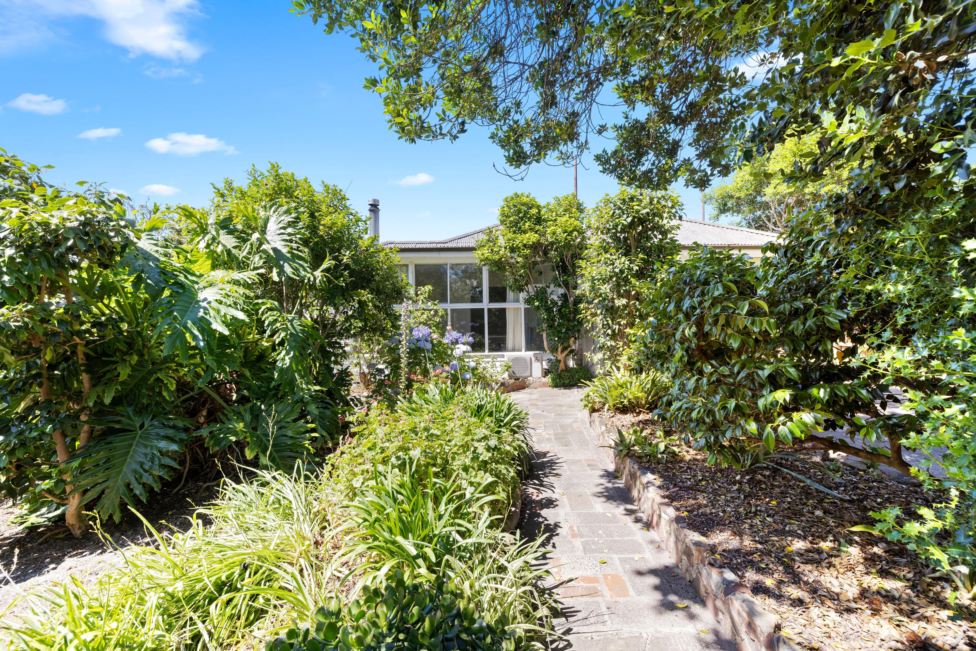 3 Gilford Grove, Cheltenham VIC 3192, Cheltenham - Image 1