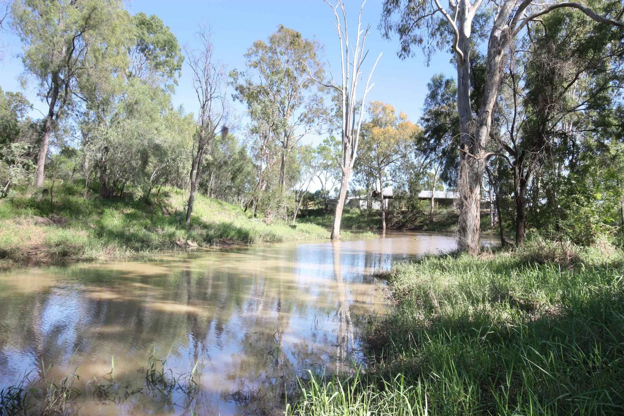 Lot 7 Tognolini Baldwin Road, Biloela QLD 4715, Biloela - Thumbnail 4