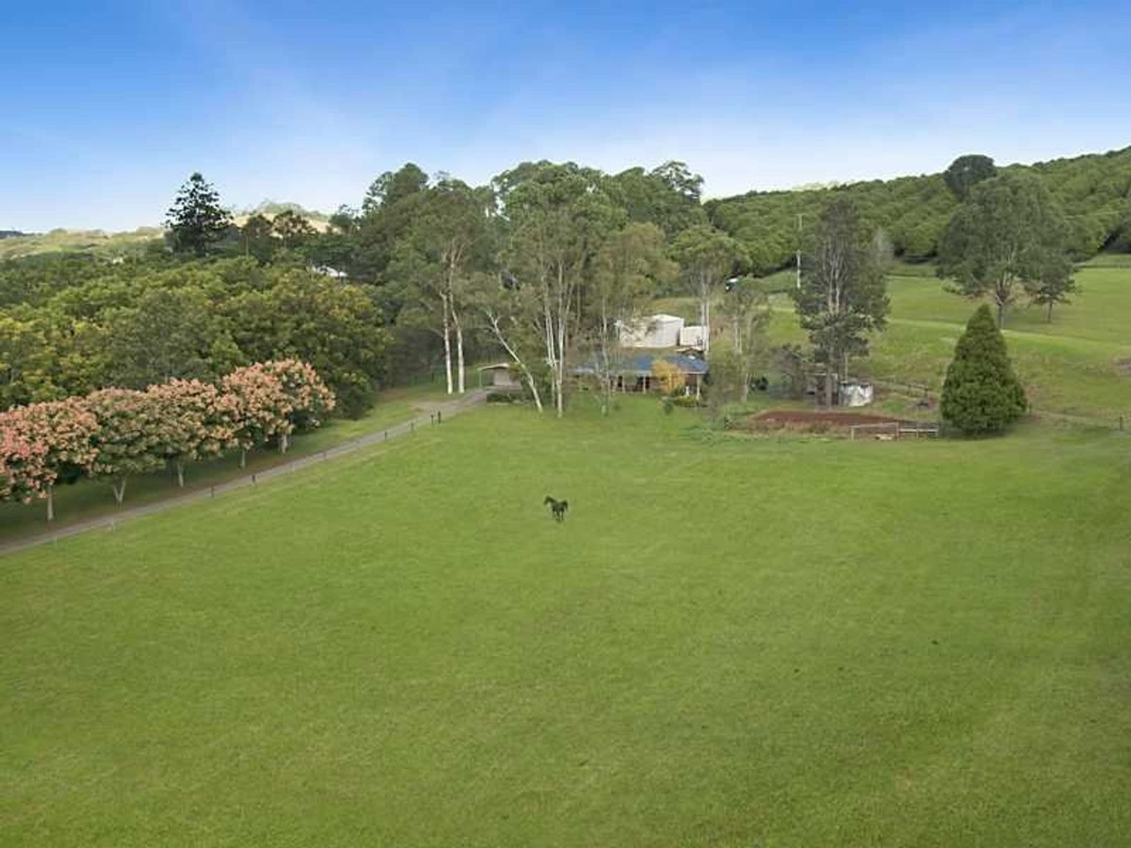 723 Houghlahans Creek Rd, Pearces Creek - Thumbnail 4