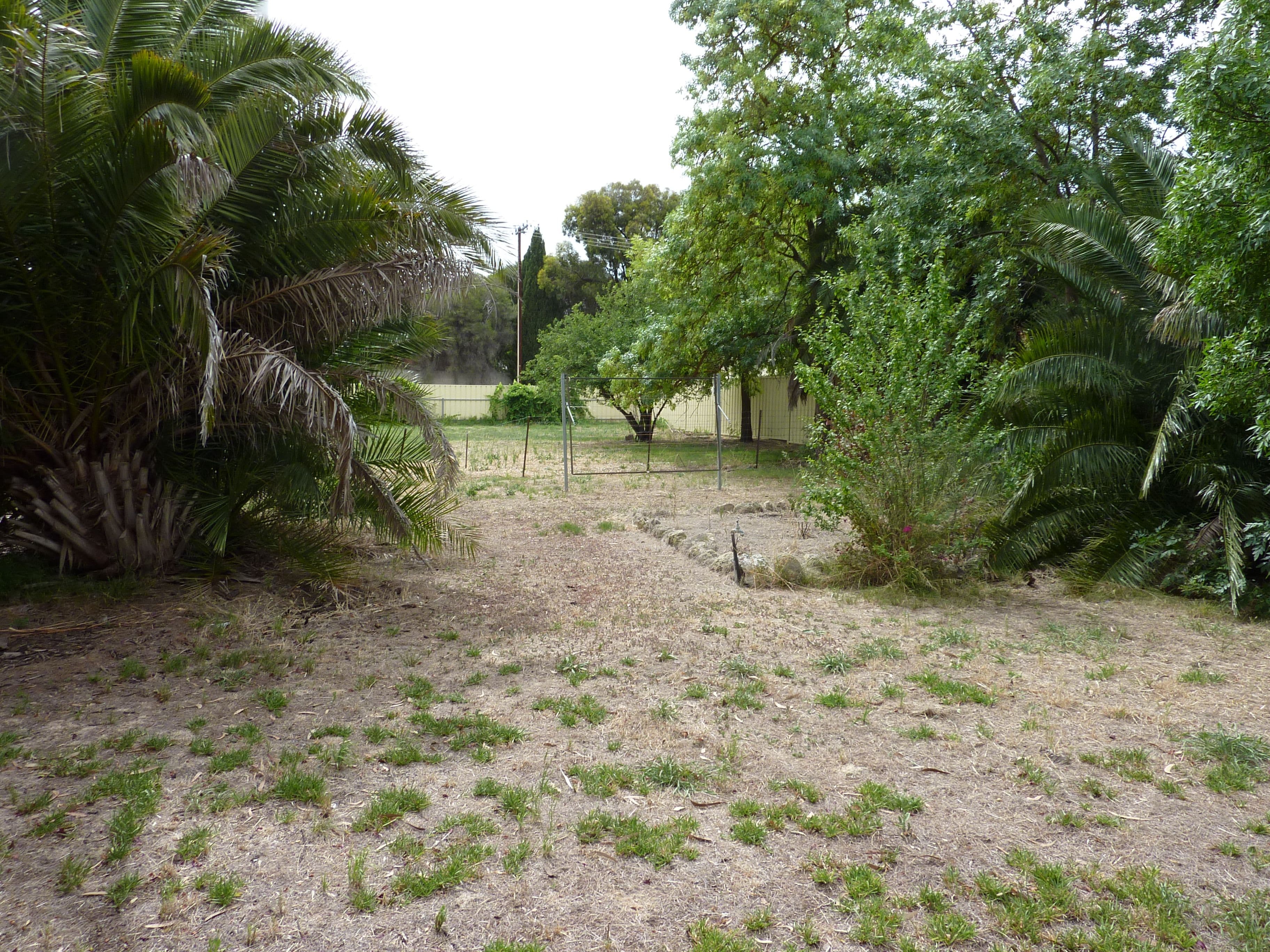61 West Terrace, Bordertown SA 5268, Bordertown - Thumbnail 8