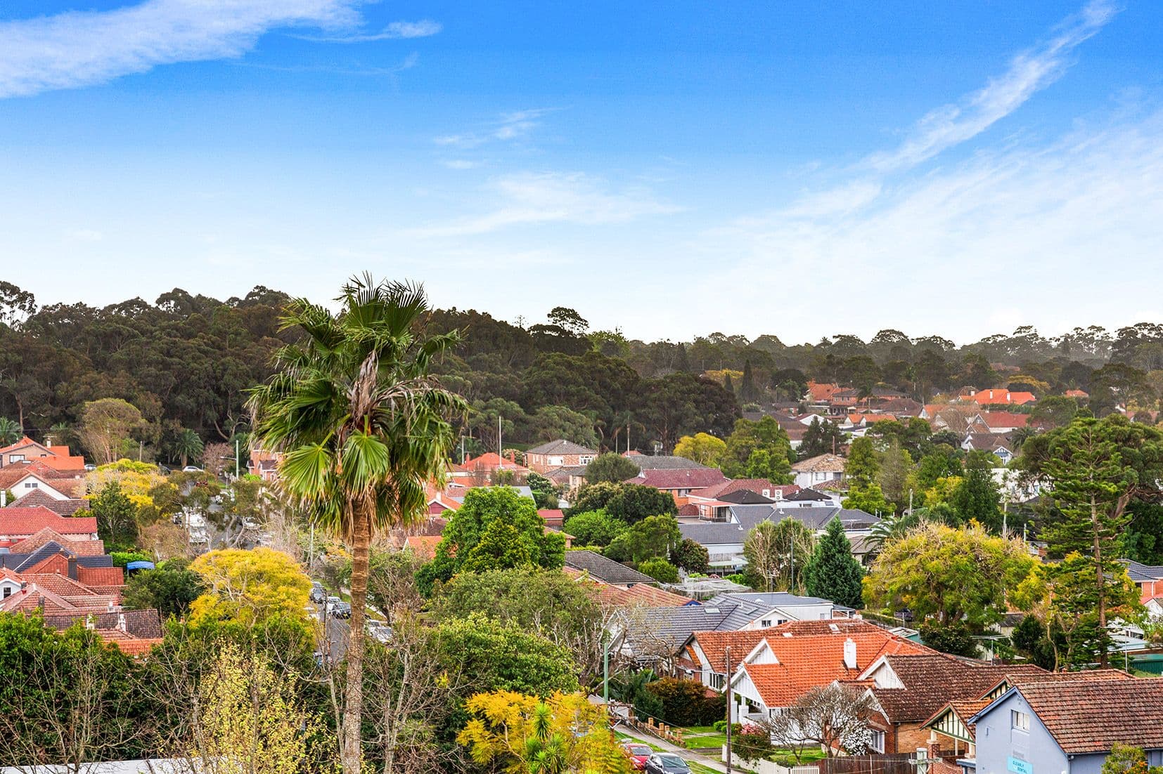 58 Hercules Street, Chatswood NSW 2067, Chatswood - Thumbnail 4