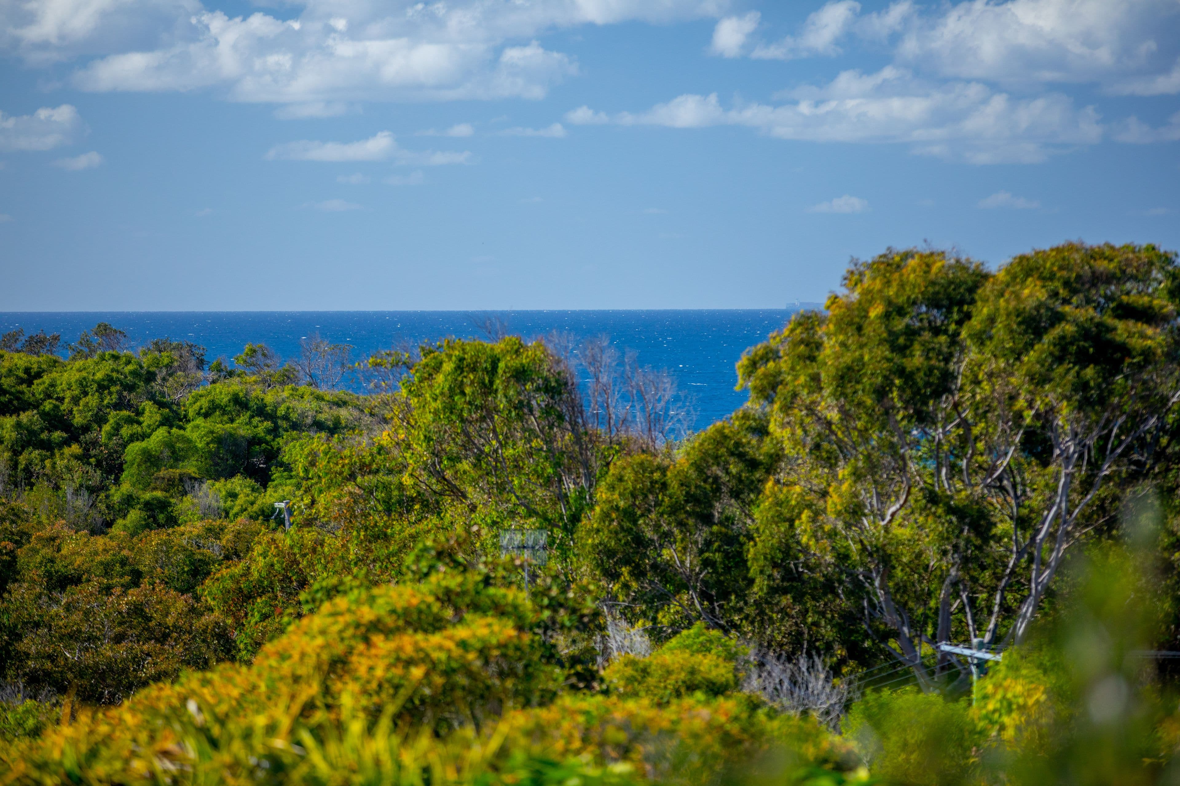 40 Lorilet Street, Peregian Beach QLD 4573, Peregian Beach - Thumbnail 2
