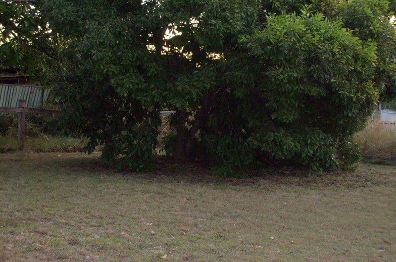 93   Blomfield Street, MOOROOKA QLD 4105, Moorooka - Thumbnail 4