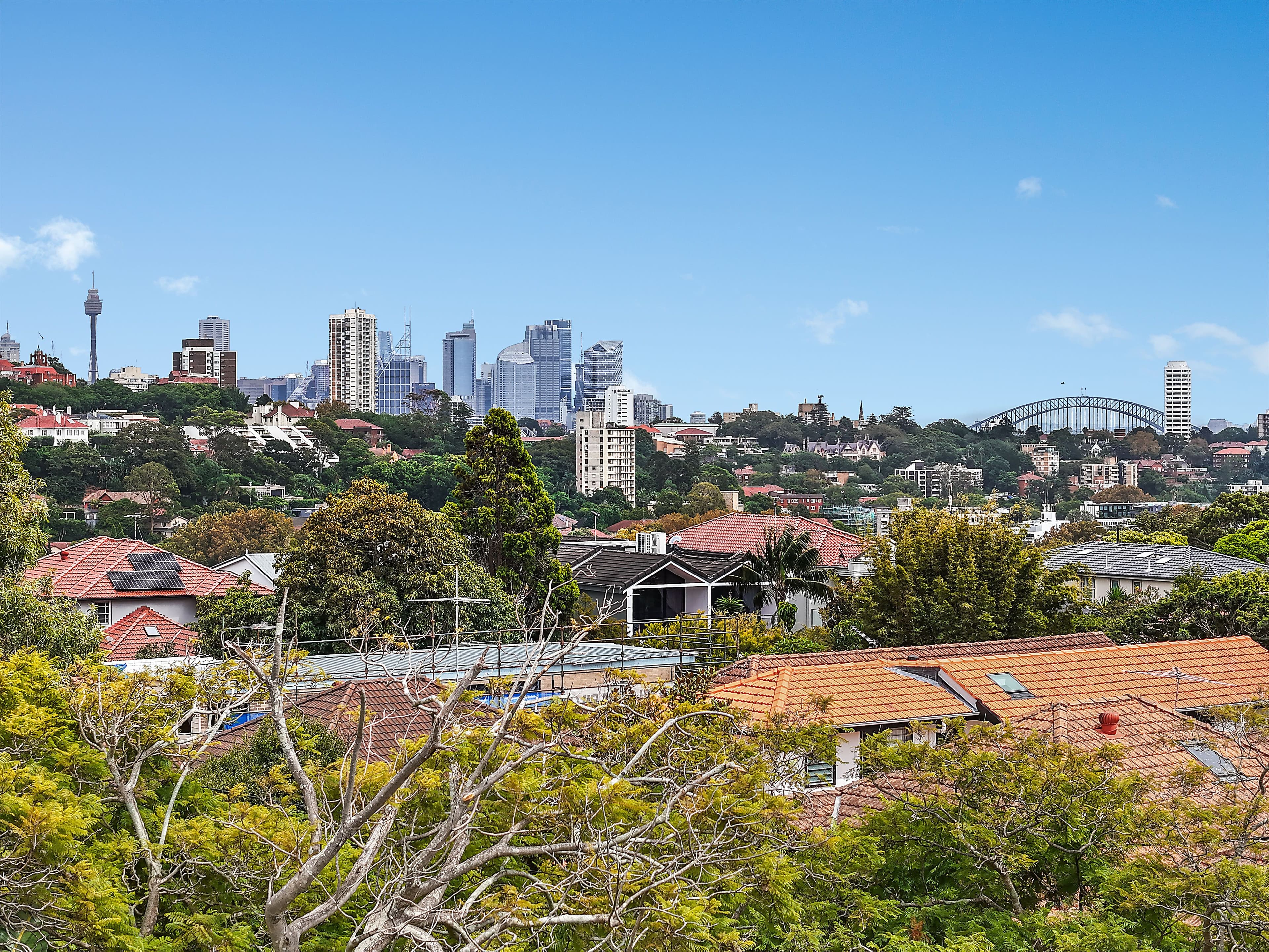 6 Holland Road, Bellevue Hill NSW 2023, Bellevue Hill - Thumbnail 6