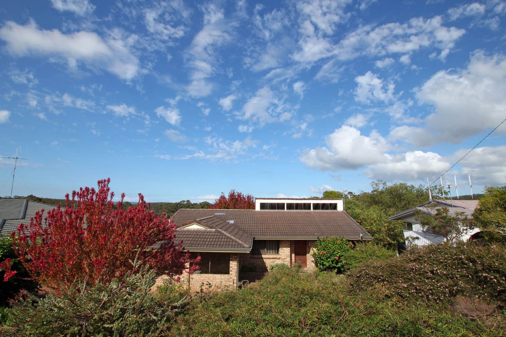 26 Bavin Street, Denmark WA 6333, Denmark - Thumbnail 2