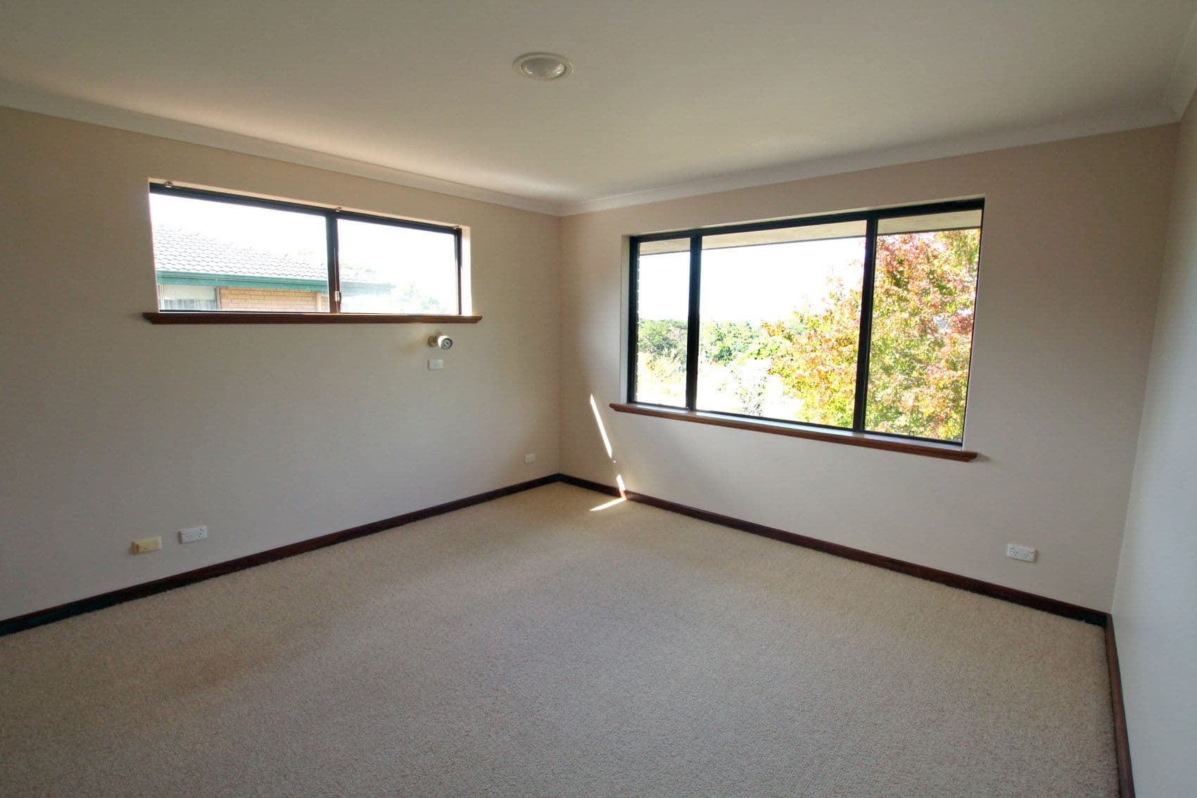 26 Bavin Street, Denmark WA 6333, Denmark - Thumbnail 6