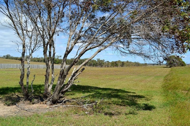 13 Loggerhead Court, RIVER HEADS QLD 4655, River Heads - Thumbnail 3