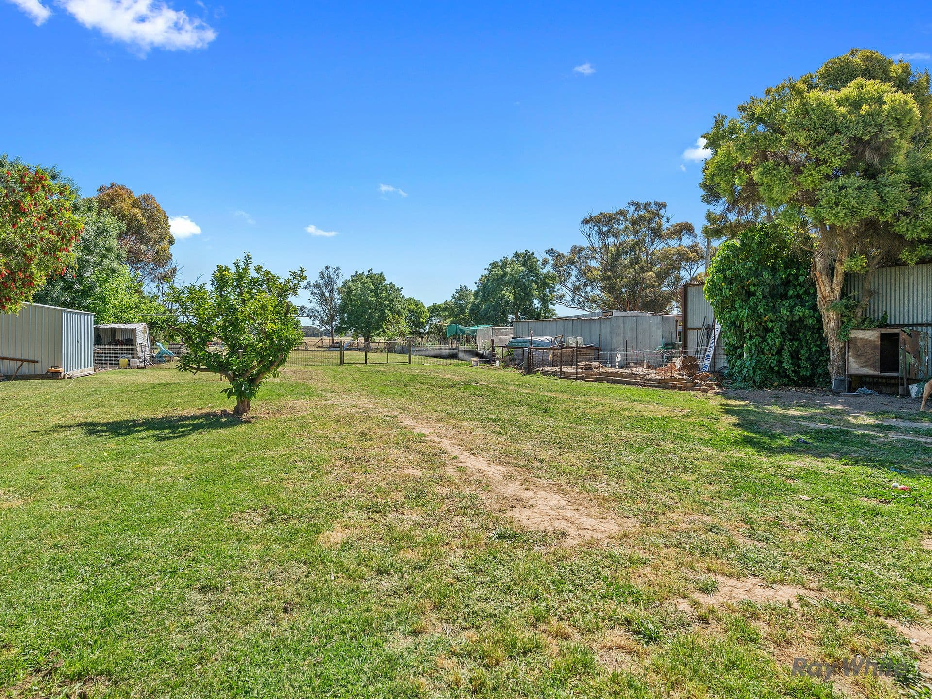 29 Halls Road, Benalla VIC 3672, Benalla - Thumbnail 2