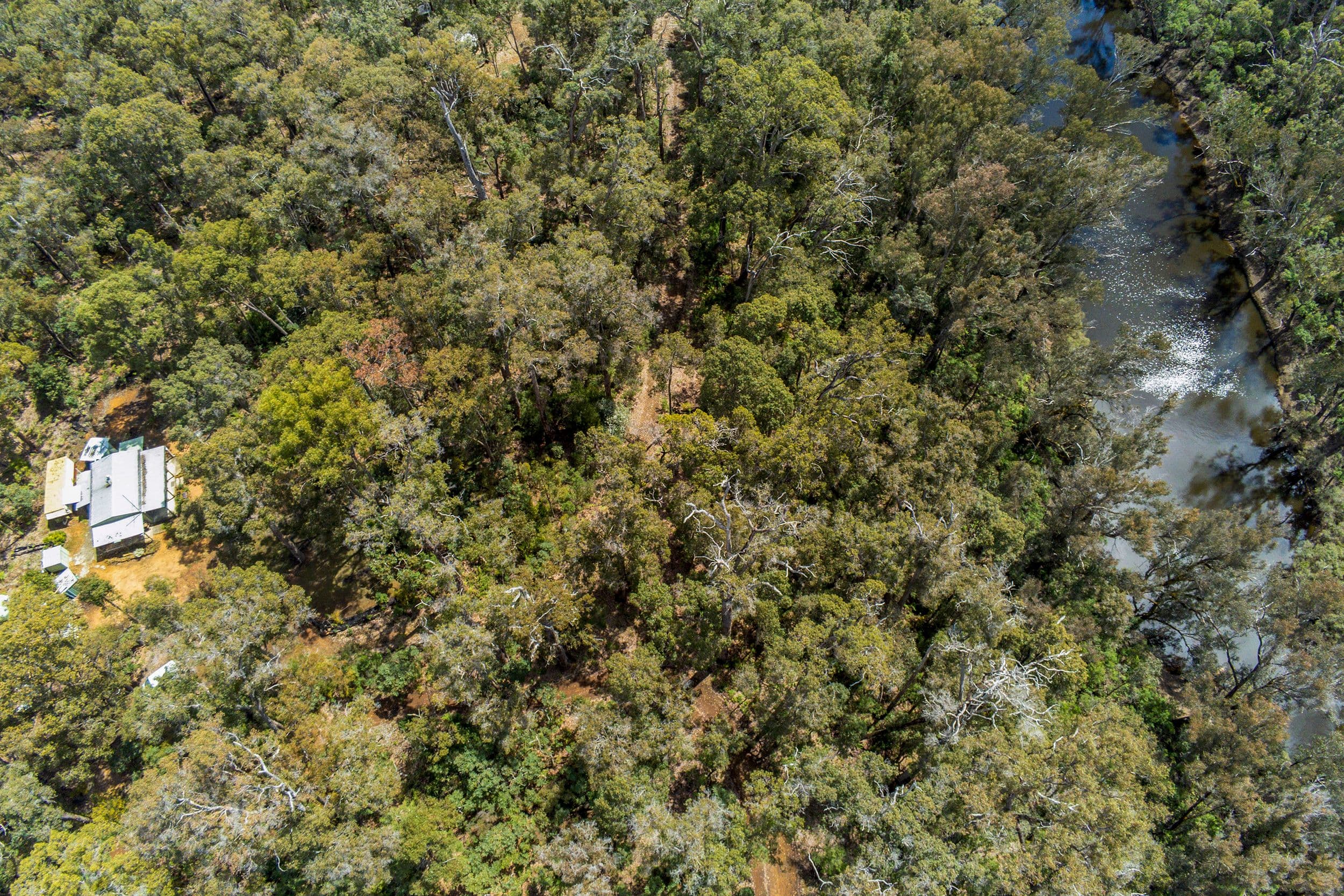 135 Leschenaultia Drive, Nannup WA 6275, Nannup - Thumbnail 2