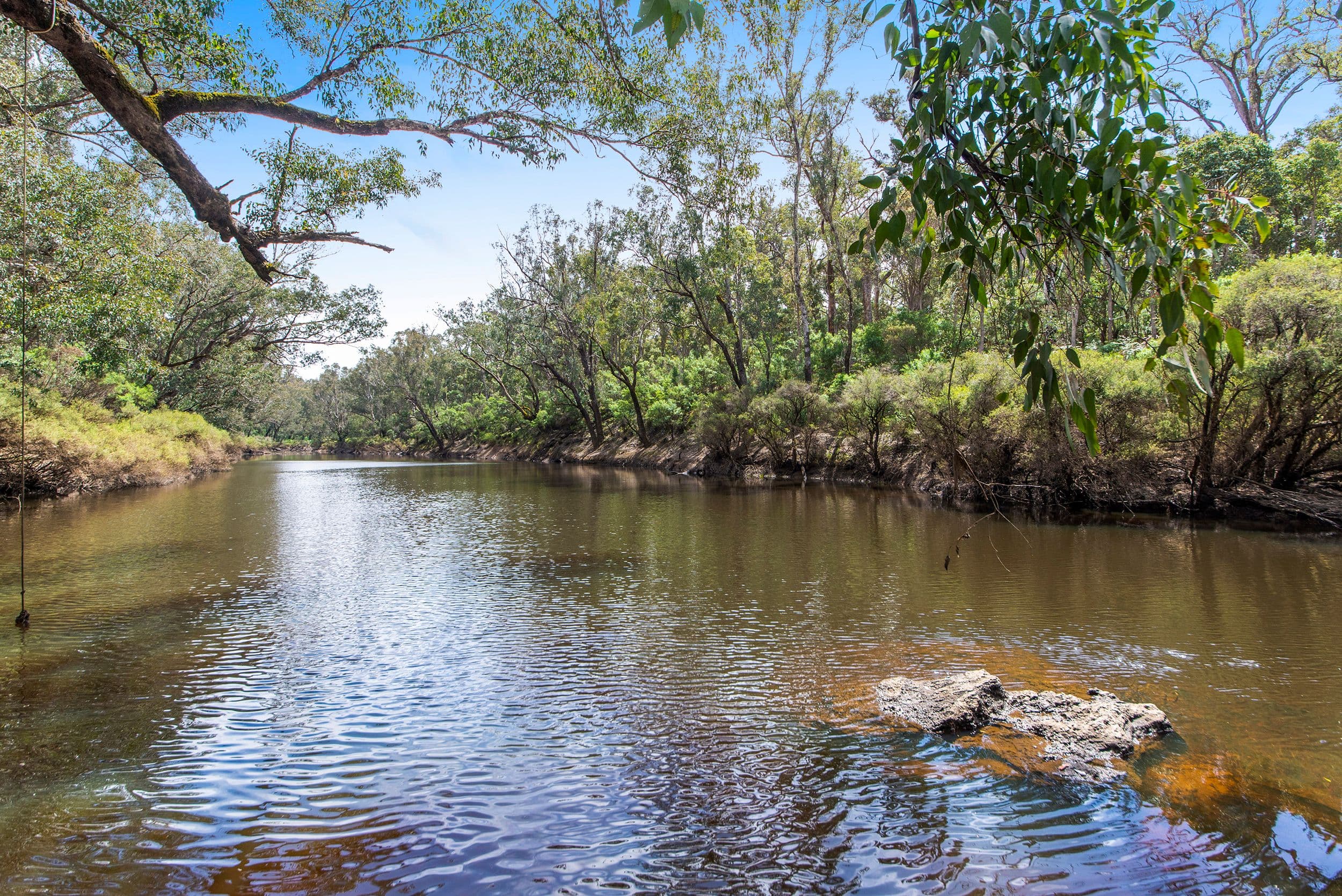 135 Leschenaultia Drive, Nannup WA 6275, Nannup - Thumbnail 3
