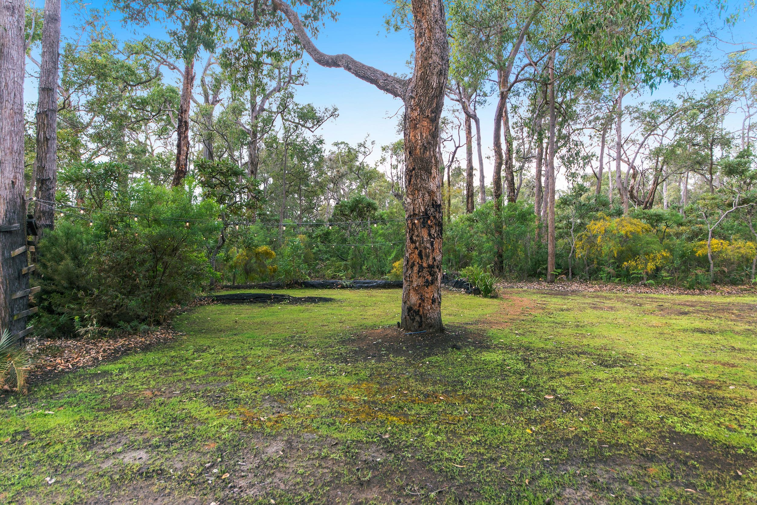 135 Leschenaultia Drive, Nannup WA 6275, Nannup - Thumbnail 4