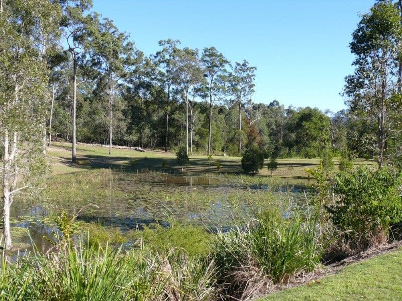 7 Crystal Springs Court, MAUDSLAND QLD 4210, Maudsland - Thumbnail 7