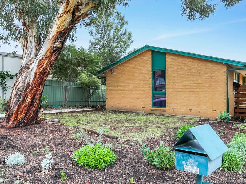 24 Treefern Avenue, Rostrevor SA 5073, Rostrevor - Thumbnail 2