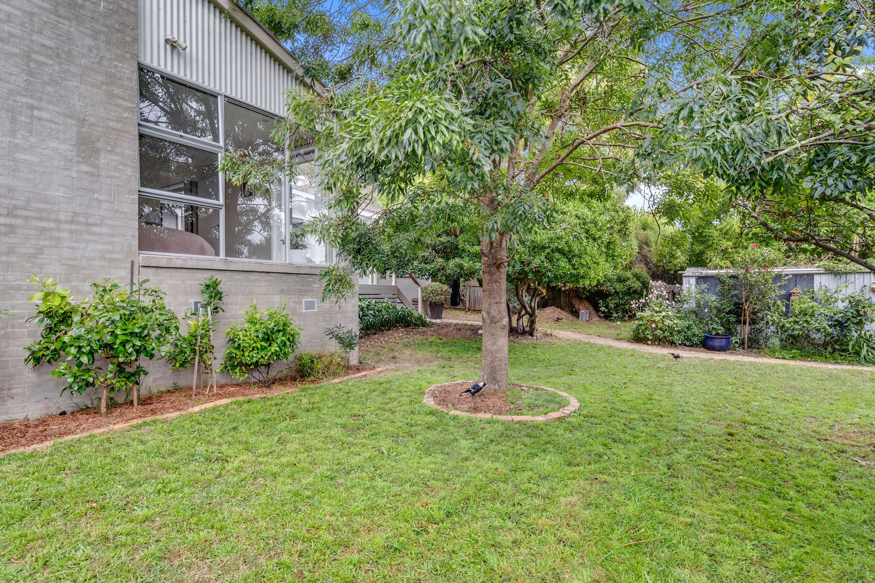53 Lyttleton Crescent, Cook ACT 2614, Cook - Thumbnail 2