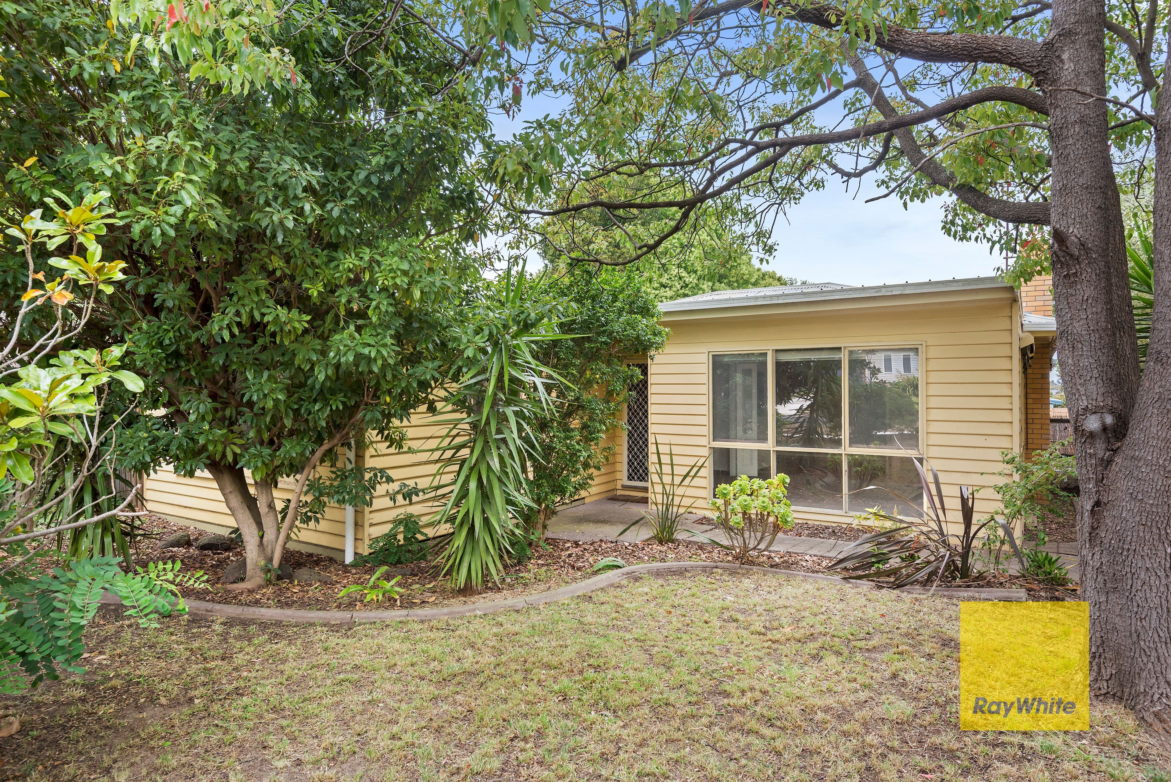 17 Cambra Road, Belmont VIC 3216, Belmont - Thumbnail 2