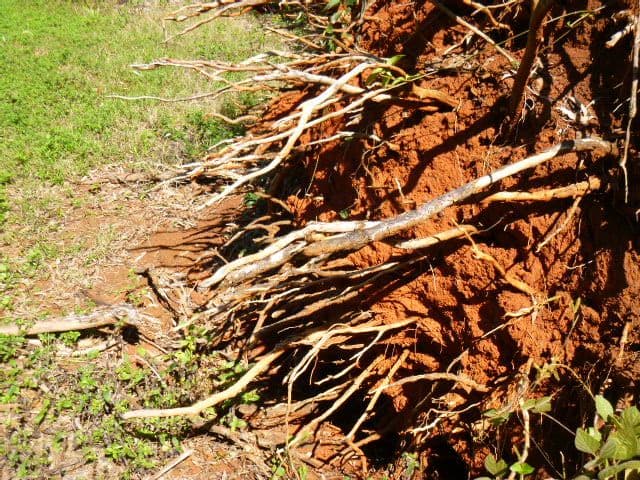 Cooktown QLD 4895, Cooktown - Thumbnail 7