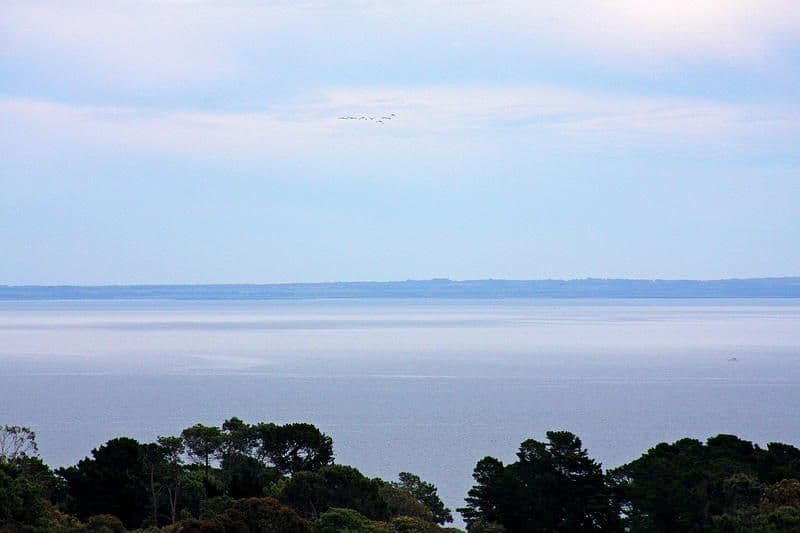 54  Dorset Road, MOUNT MARTHA VIC 3934, Mount Martha - Thumbnail 3