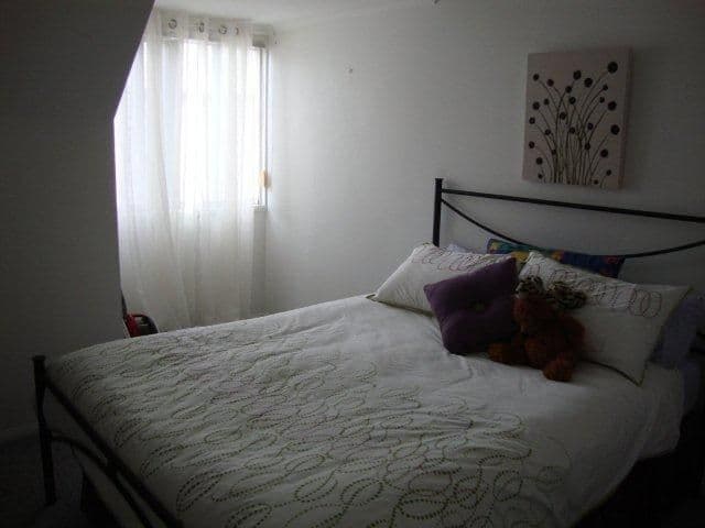 31 Baden Powell Street, MAROOCHYDORE QLD 4558, Maroochydore - Thumbnail 4