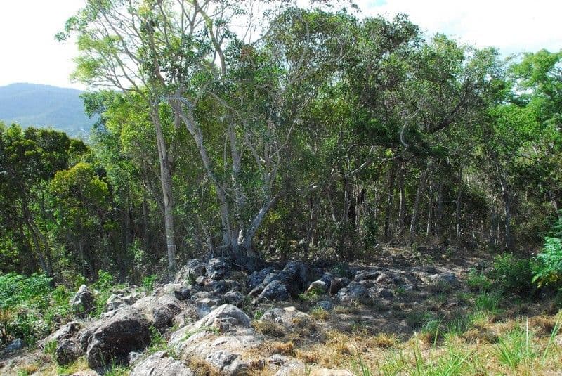 Lot 29 Botanica Drive, CANNONVALE QLD 4802, Cannonvale - Thumbnail 7