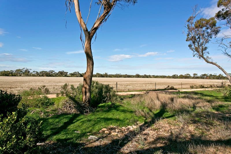 20 South East Terrace, OWEN SA 5460, Owen - Thumbnail 3