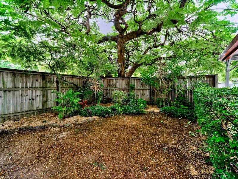 16 Rous Street, HENDRA QLD 4011, Hendra - Thumbnail 6