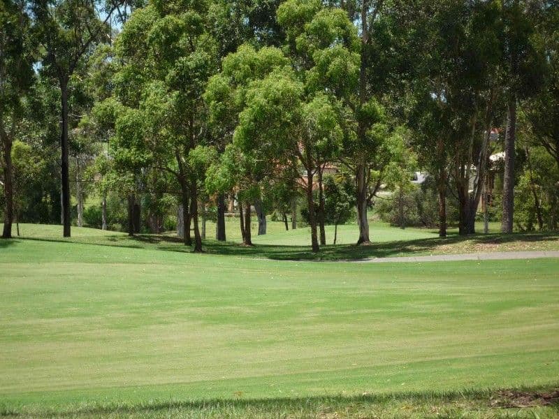 19 Hazel Court, ARUNDEL QLD 4214, Arundel - Thumbnail 5