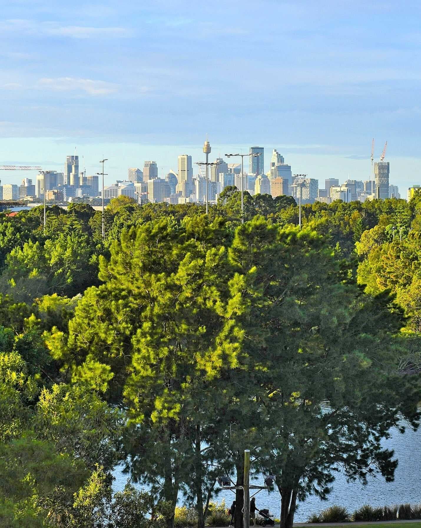 513/24 Levey Street Wolli Creek, Creek - Thumbnail 3