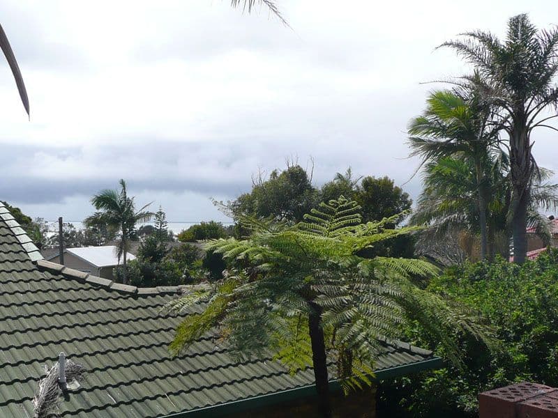 984 Ocean Drive, BONNY HILLS NSW 2445, Bonny Hills - Thumbnail 3
