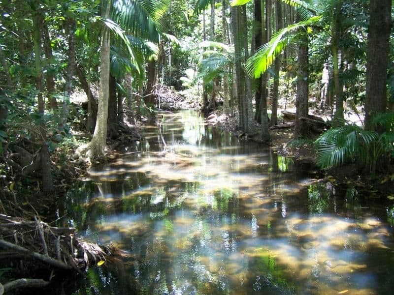 2386 Byfield Road, BYFIELD QLD 4703, Byfield - Thumbnail 2