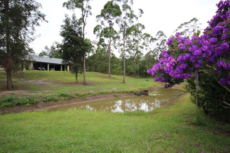 161 Storrs Road, PEACHESTER QLD 4519, Peachester - Image 1