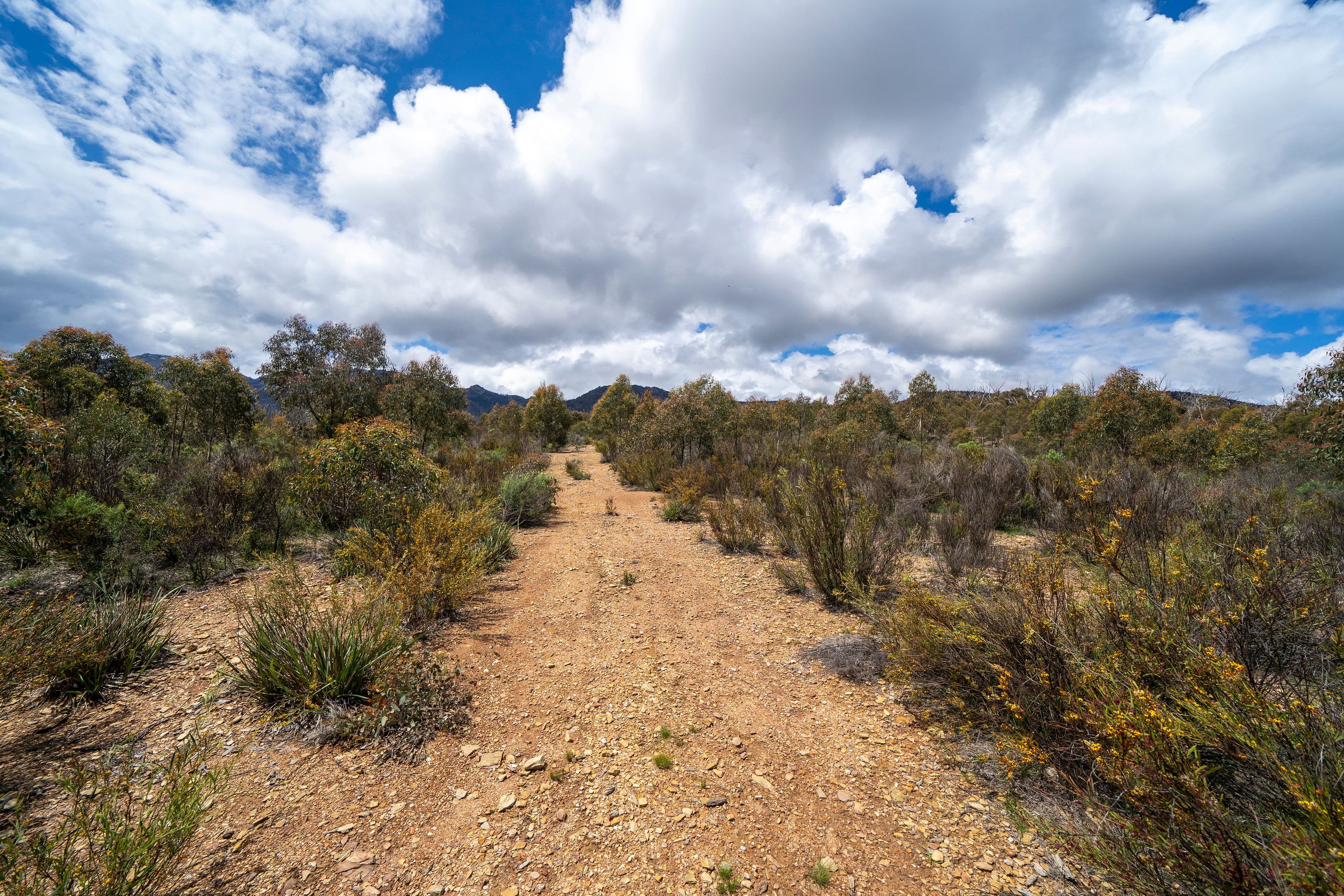 718 Tinderry Road, MICHELAGO NSW 2620, Michelago - Thumbnail 3