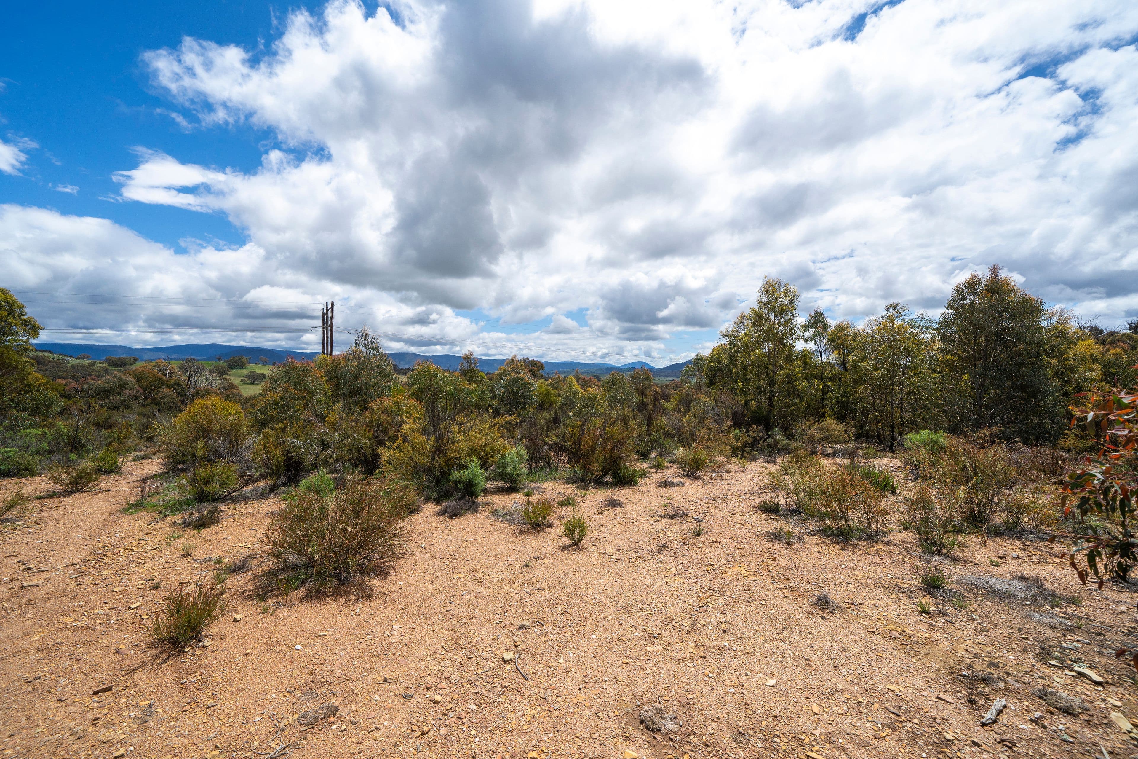 718 Tinderry Road, MICHELAGO NSW 2620, Michelago - Thumbnail 4