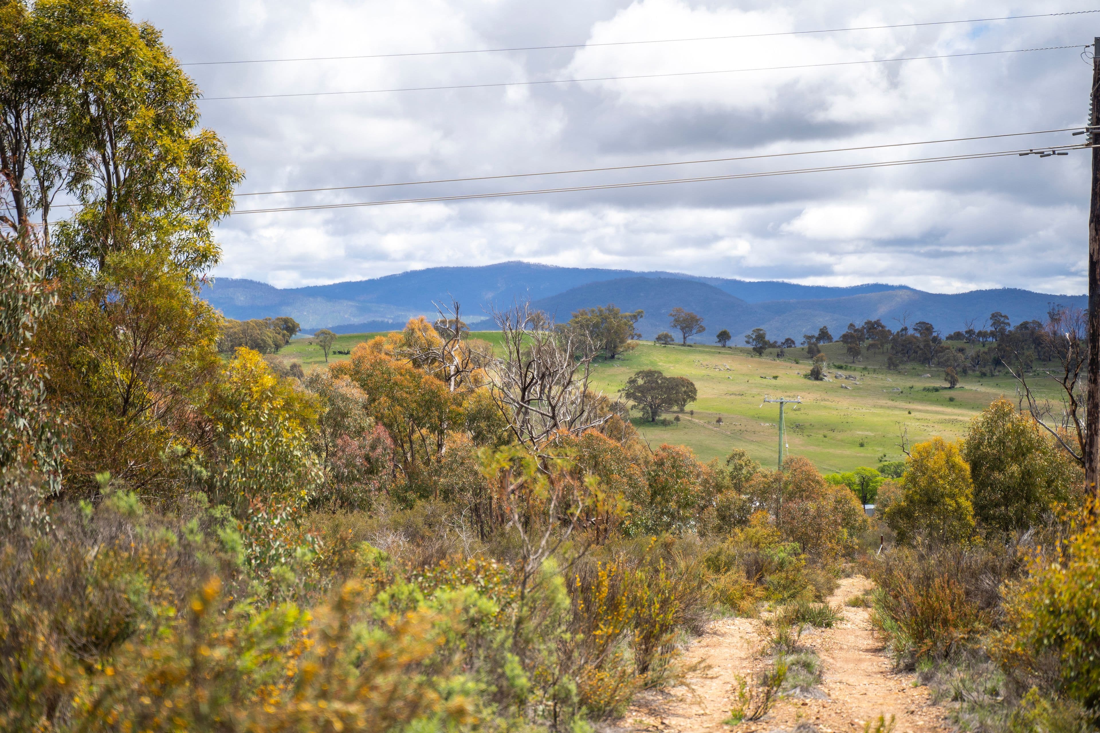 718 Tinderry Road, MICHELAGO NSW 2620, Michelago - Thumbnail 6