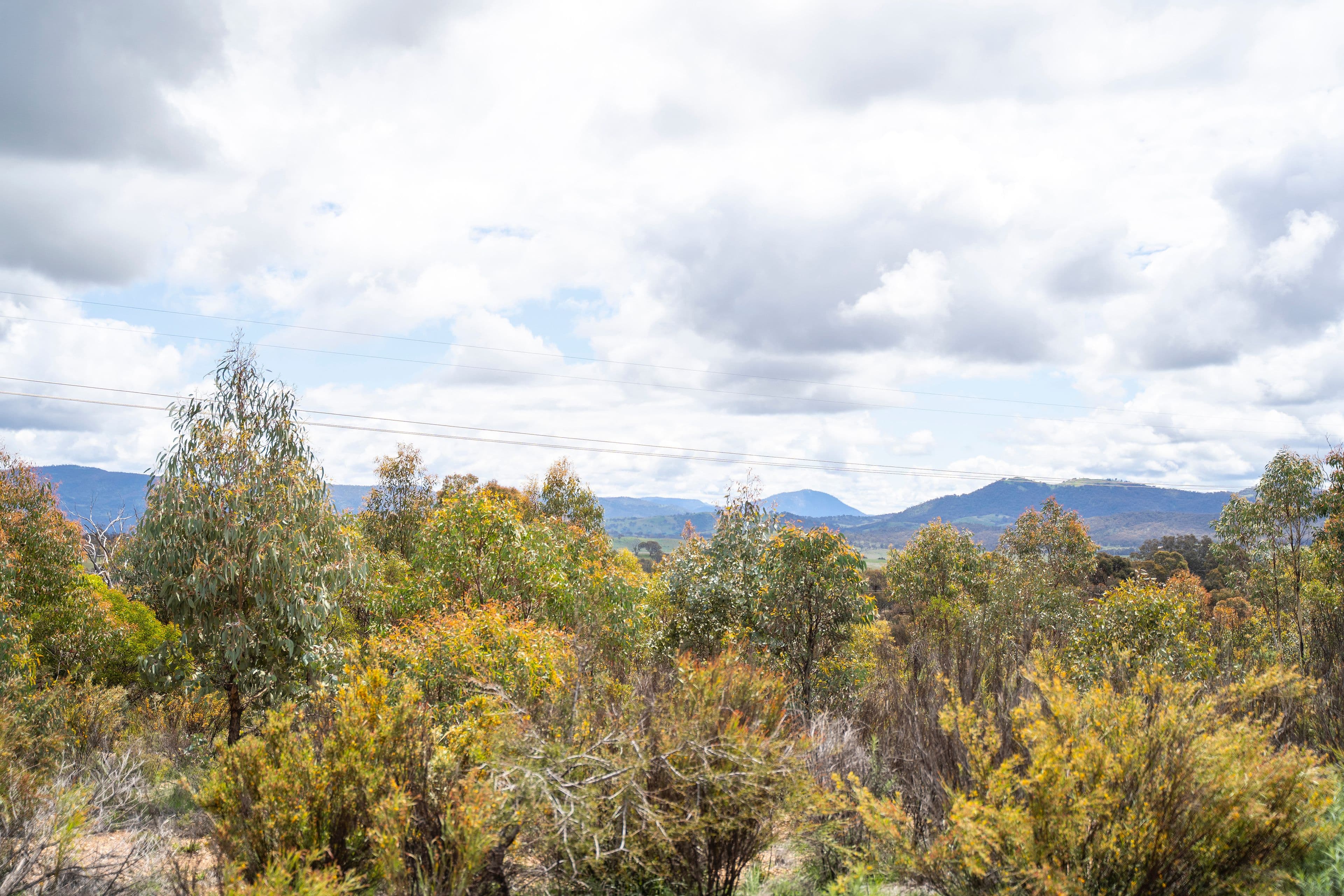 718 Tinderry Road, MICHELAGO NSW 2620, Michelago - Thumbnail 7