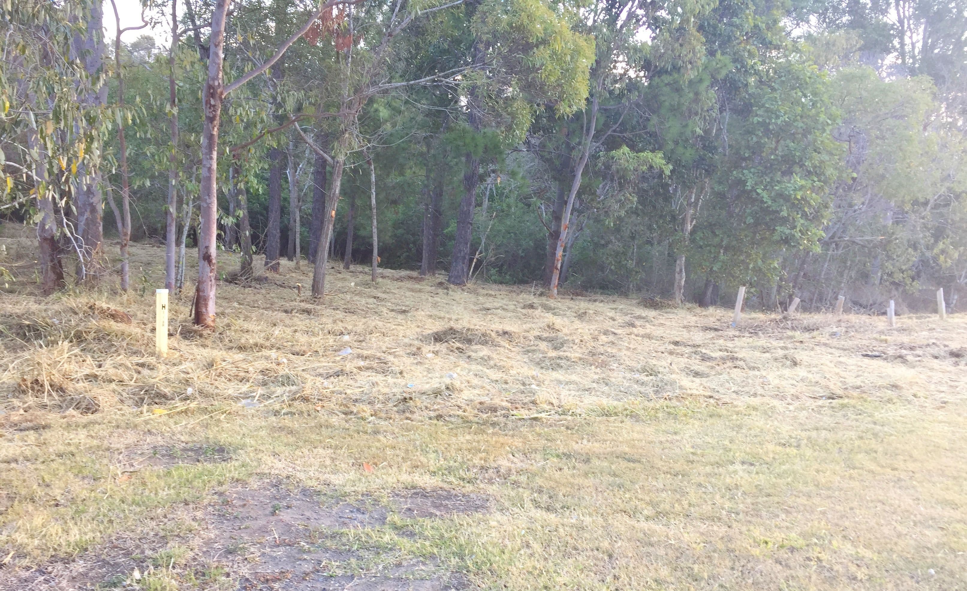 41-43 Beenleigh Redland Bay Road, Loganholme QLD 4129, Loganholme - Thumbnail 5