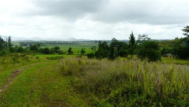 0 Healy Road, MIRIWINNI QLD 4871, Mirriwinni - Image 1