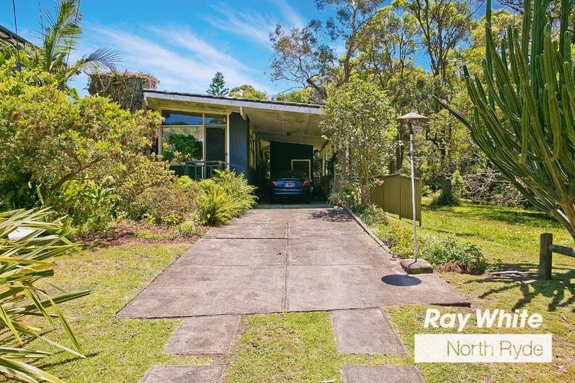 19 Fox Road, East Ryde NSW 2113, East Ryde - Thumbnail 3